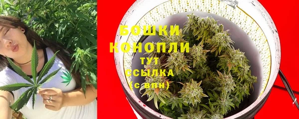 прущая мука Бикин