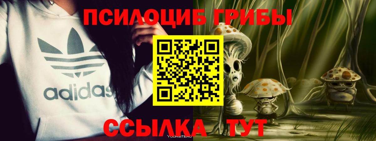 Галлюциногенные грибы GOLDEN TEACHER  Псилоцибиновые грибы Magic Shrooms  Вход с VPN  Железноводск 