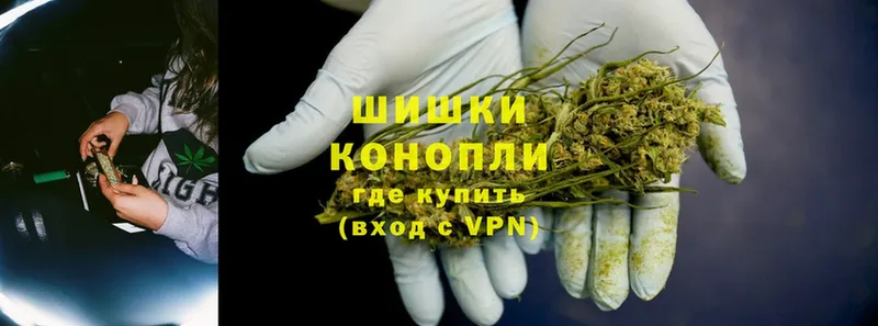 Бошки Шишки Ganja  продажа наркотиков  Железноводск 